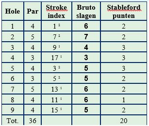 Stableford vraag 4