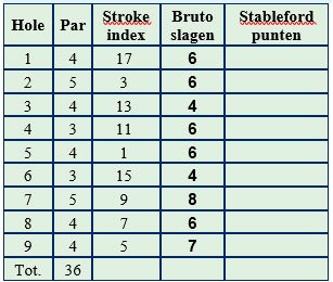 Stableford vraag 5